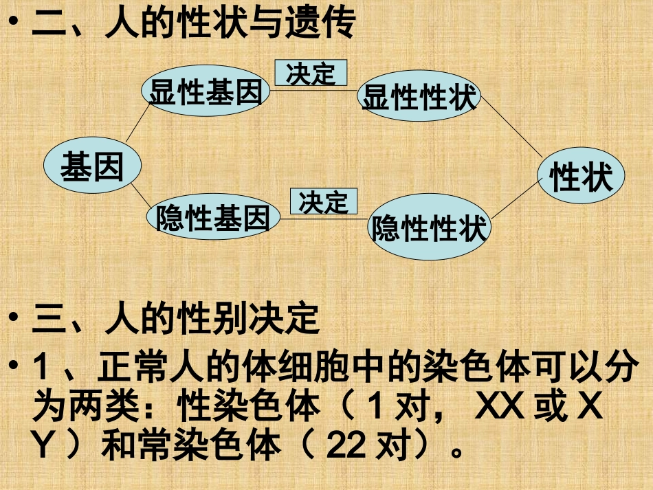 生物的遗传和变异PPT_第3页