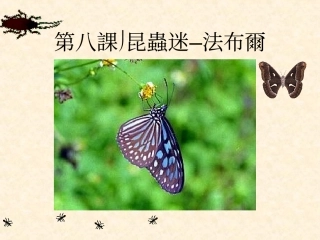 法布尔观察昆虫