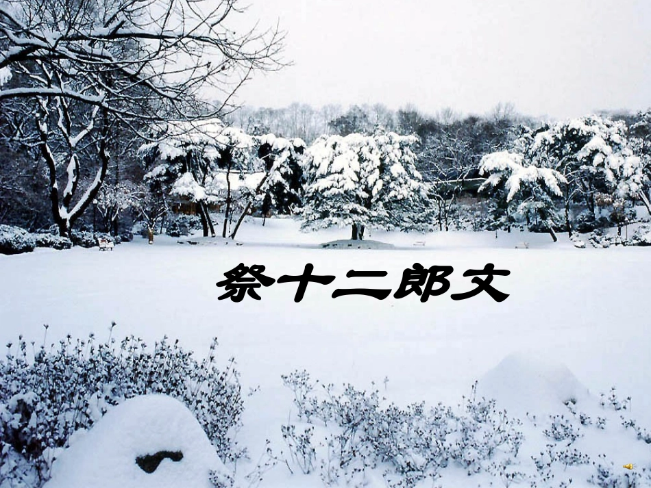 《祭十二郎文》课件_第3页