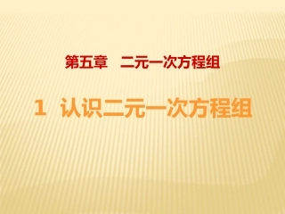 5.1认识二元一次方程组