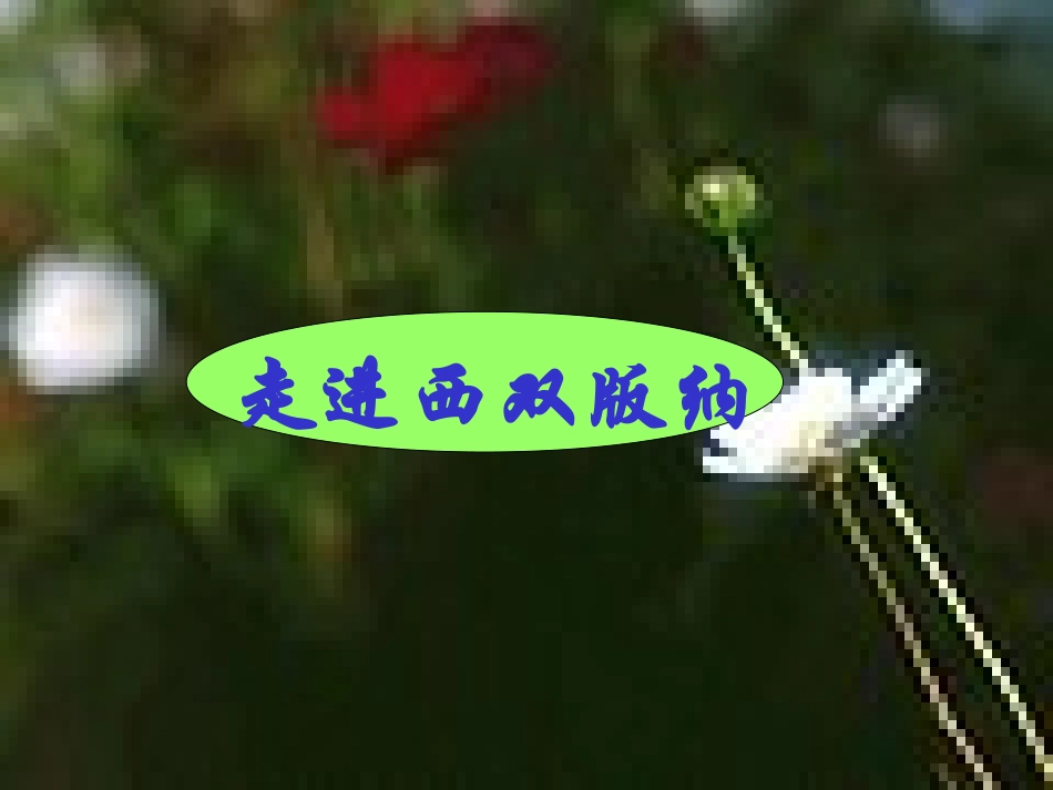 美丽的西双版纳_第1页