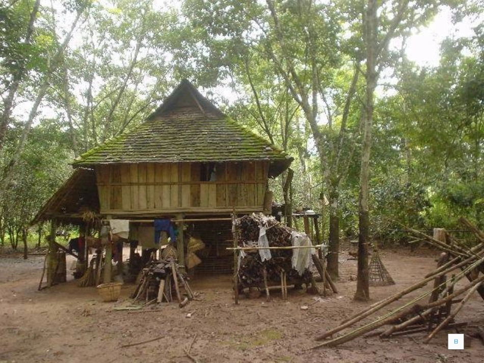 美丽的西双版纳_第3页