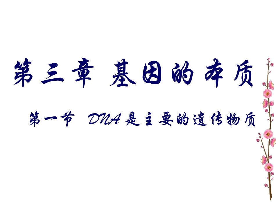 DNA是主要的遗传物质_第1页