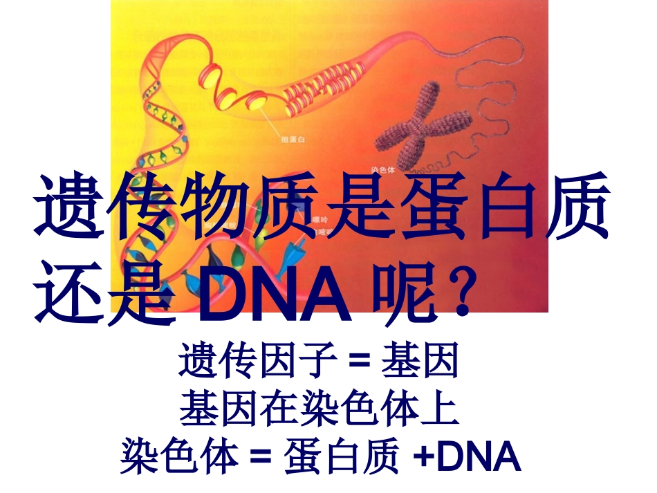 DNA是主要的遗传物质_第2页