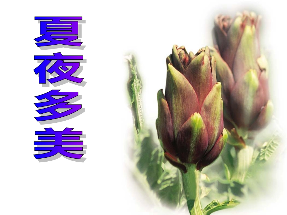 15夏夜多美_第1页