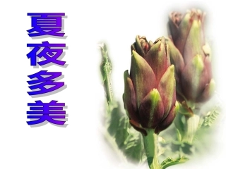 15夏夜多美