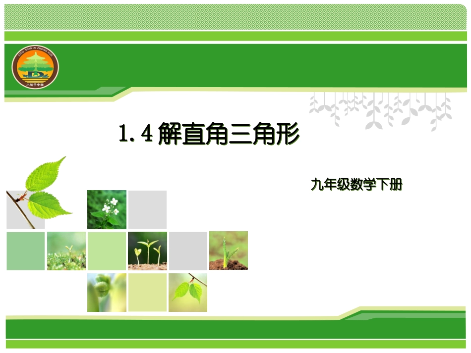 1.4解直角三角形-(2)_第1页
