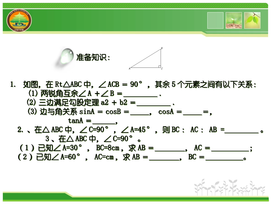 1.4解直角三角形-(2)_第2页