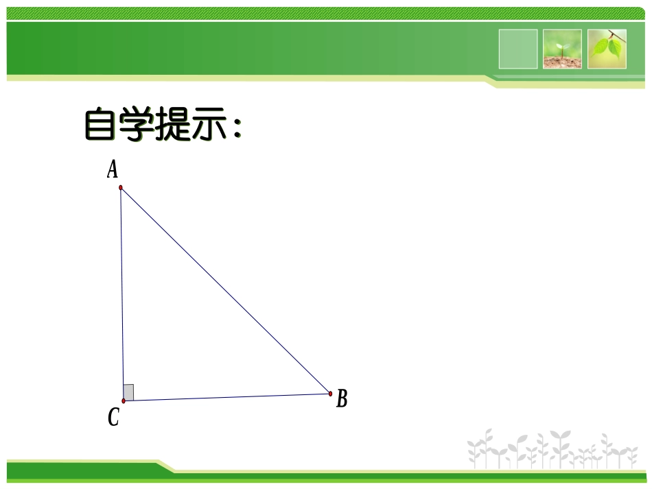 1.4解直角三角形-(2)_第3页