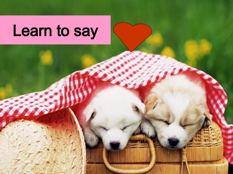 Unit4Weloveanimals第一课时2_第3页