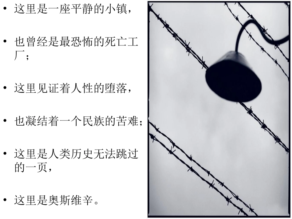 奥斯维辛没有新闻_第2页