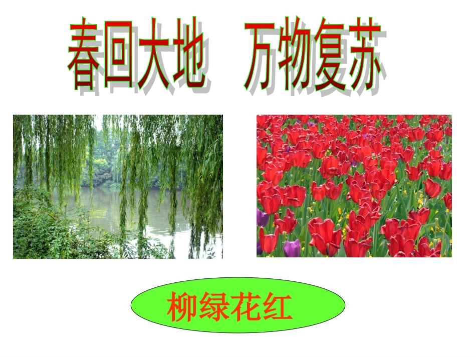 《春雨的色彩》课件2_第3页