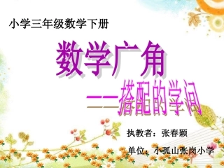 人教2011版小学数学三年级数学广角------搭配的学问