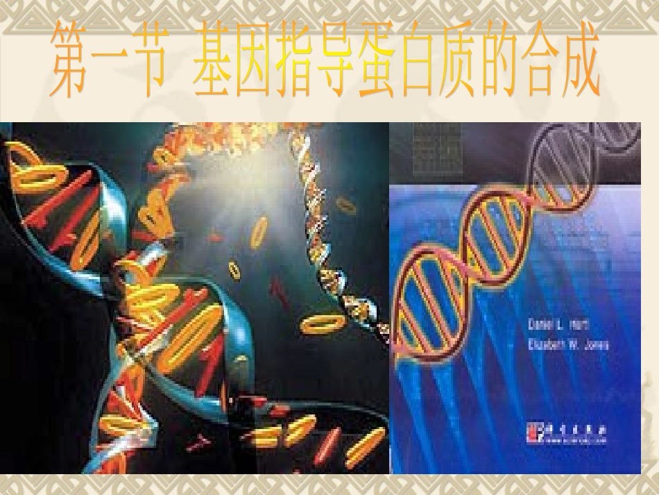 4.1《基因指导蛋白质的合成》-课件7-周林波_第1页