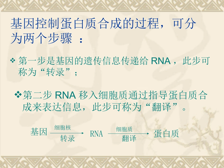 4.1《基因指导蛋白质的合成》-课件7-周林波_第2页