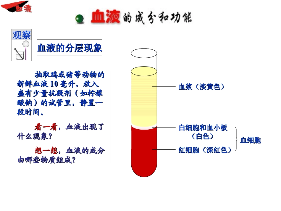 血液-(2)_第3页