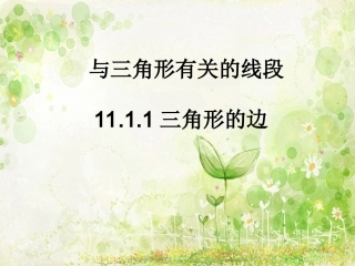 11.1.1-三角形的边-(2)