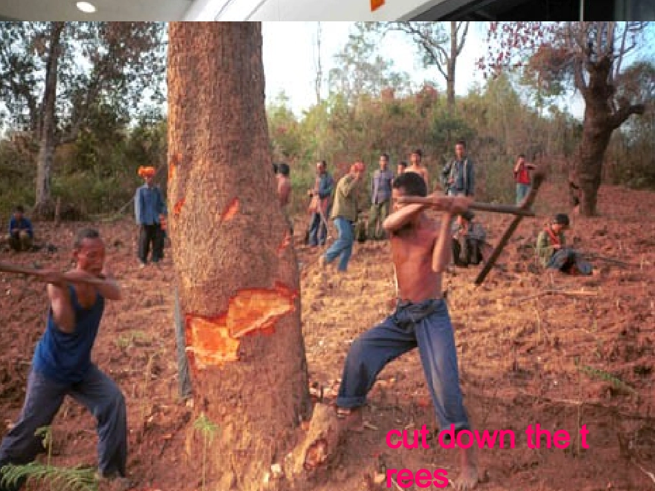 [牛津中小学英语网]新6上U6Grammartime_第3页