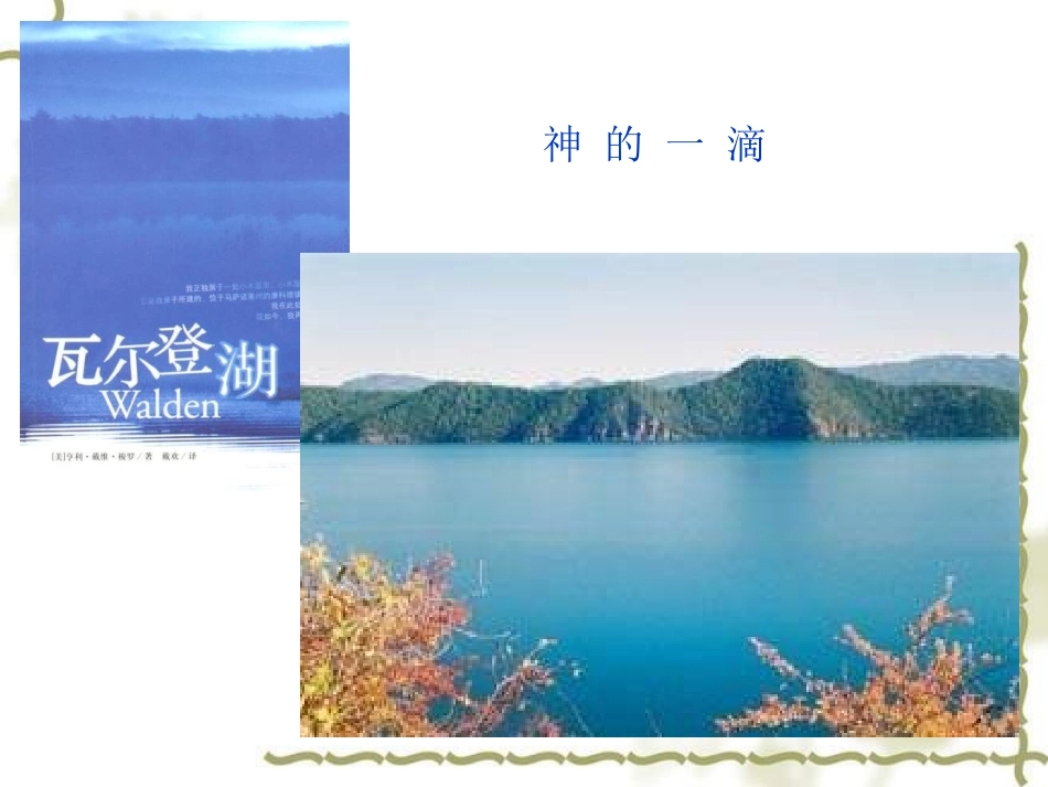 苏教必修一语文课件《神的一滴》_第3页