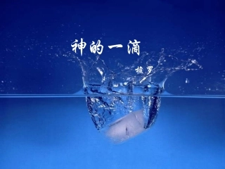 苏教必修一语文课件《神的一滴》