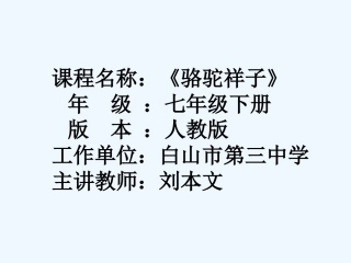 (部编)初中语文人教2011课标版七年级下册名著导读《骆驼祥子》-(3)