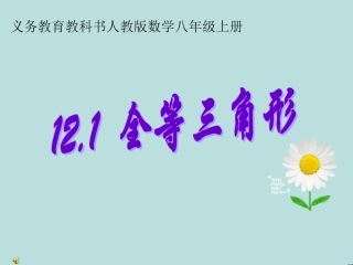 12.1全等三角形.5.13全等三角形说课