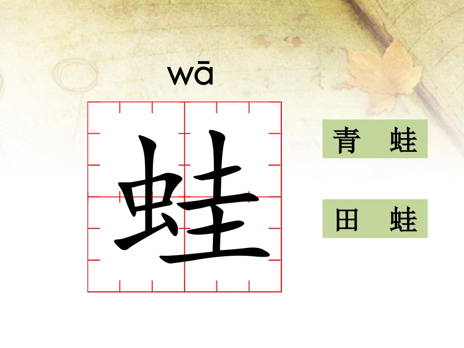 《寄给青蛙的信》课件2_第3页