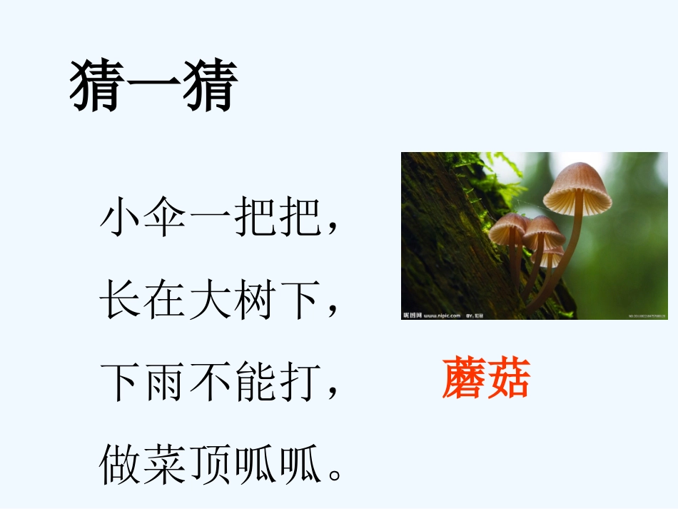 语文园地一.11更新-语文园地一-课件2_第2页