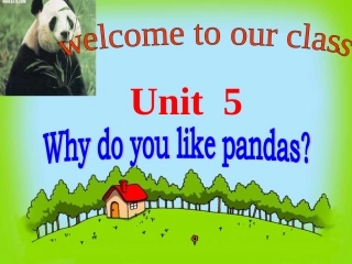 初中一年级英语上册Unit5第一课时课件