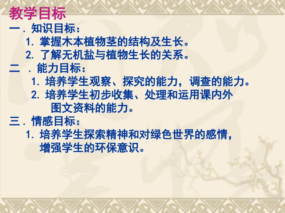 《第二节-植株的生长》课件3_第2页