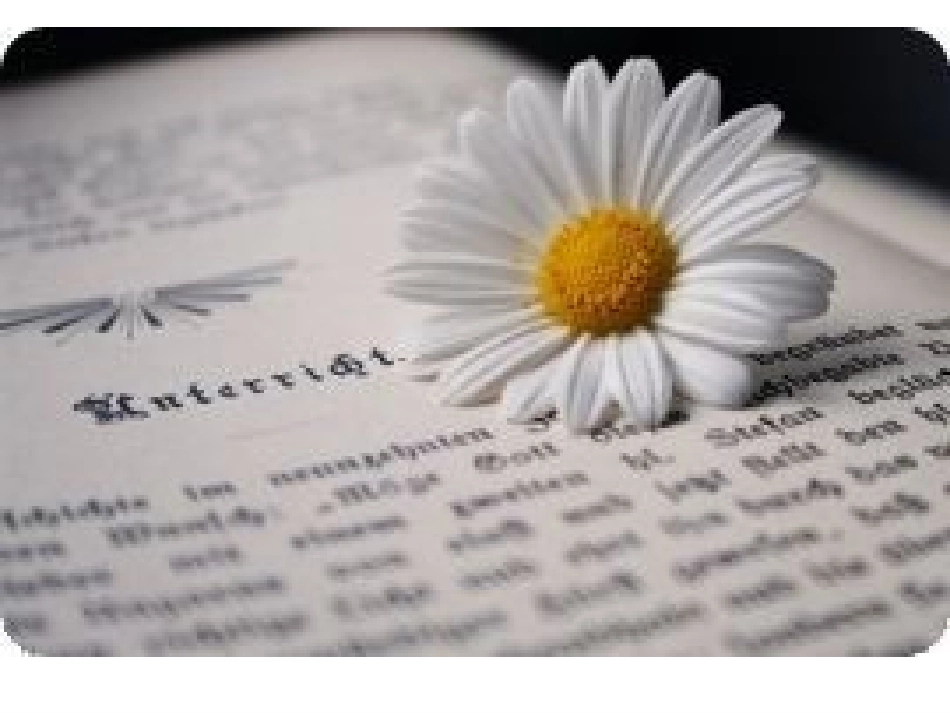 人美版小学四年级美术上册《多姿多彩的靠垫》课件_第1页