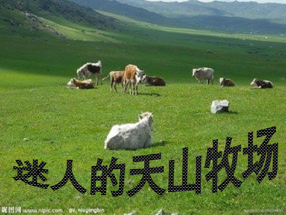 迷人的天山牧场_第1页