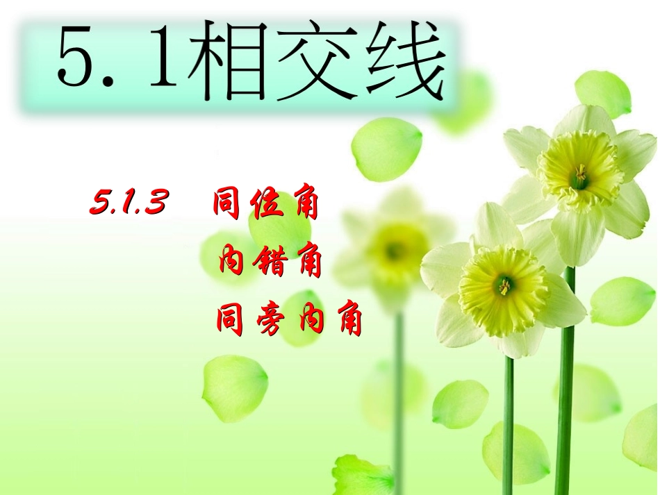 同位角内错角同旁内角-(4)_第1页