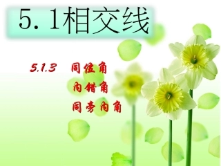 同位角内错角同旁内角-(4)