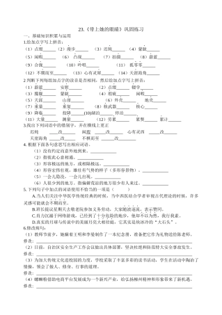 (部编)初中语文人教2011课标版七年级下册第23课《带上她的眼睛》综合练习题