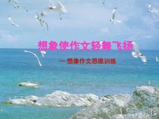 想象让作文轻舞飞扬