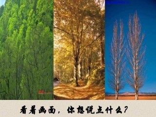 杨红女说“木叶”
