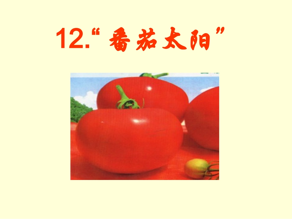 番茄太阳课件_第1页