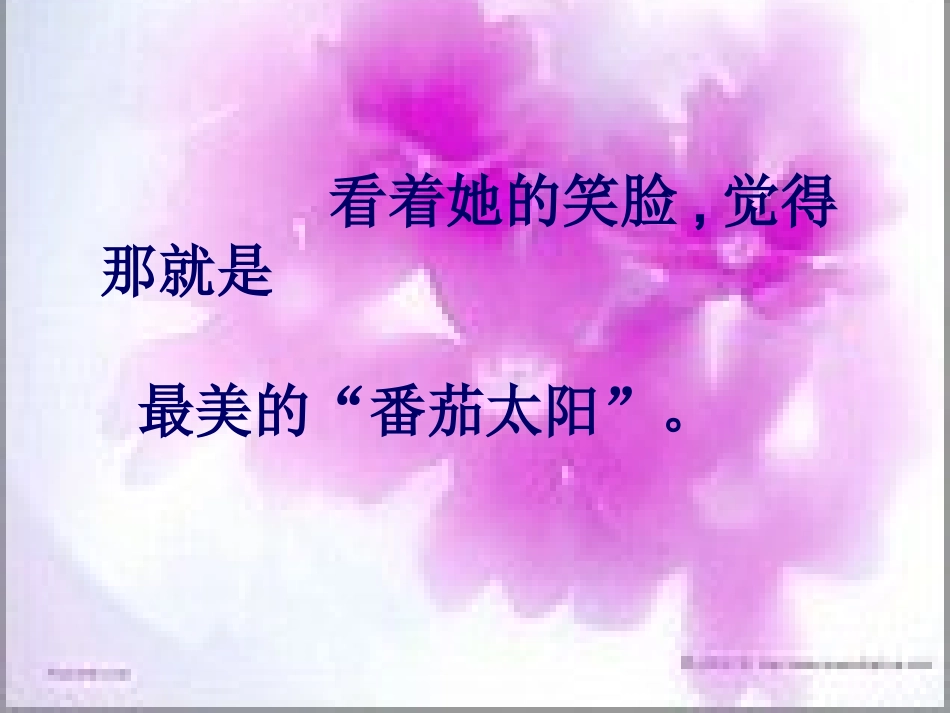 番茄太阳课件_第2页
