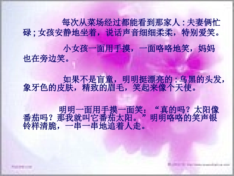 番茄太阳课件_第3页