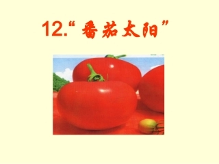 番茄太阳课件