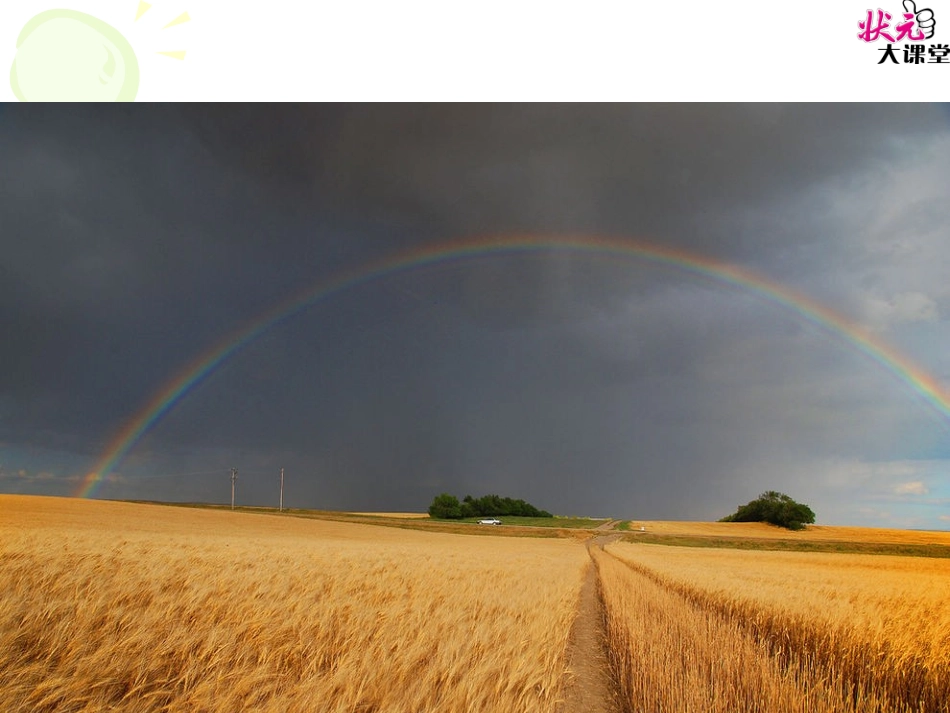 观刈麦PPT_第1页