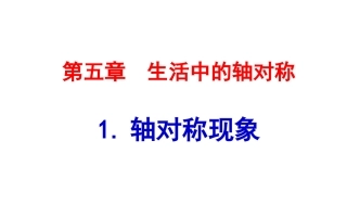 5.1轴对称现象.1-轴对称现象
