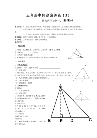 三角形的边角关系(3)