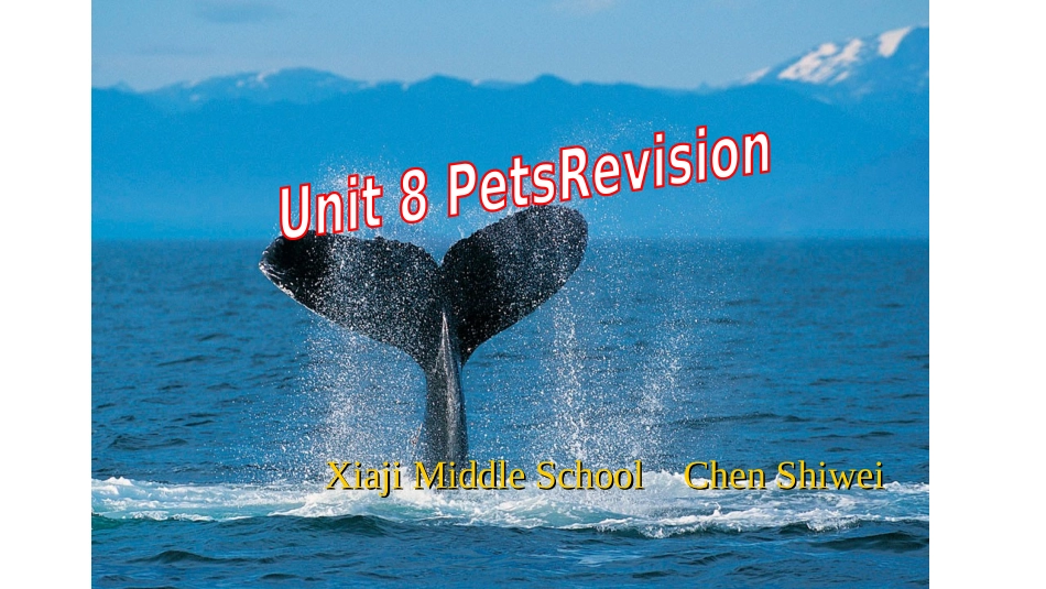 7下-Unit8-Revision课件_第1页