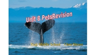 7下-Unit8-Revision课件