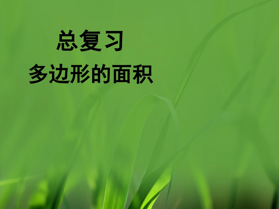 《总复习(多边形的面积)》参考课件_第1页