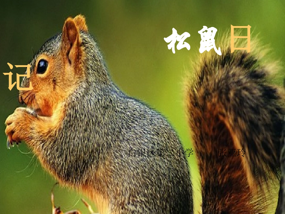 12、《松鼠日记》-松鼠日记课件_第1页