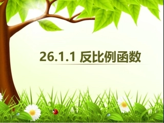 26.1.1反比例函数.11.24