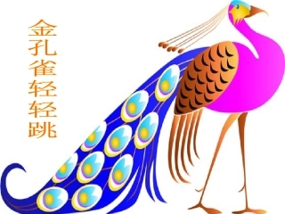 金孔雀轻轻跳-课件3